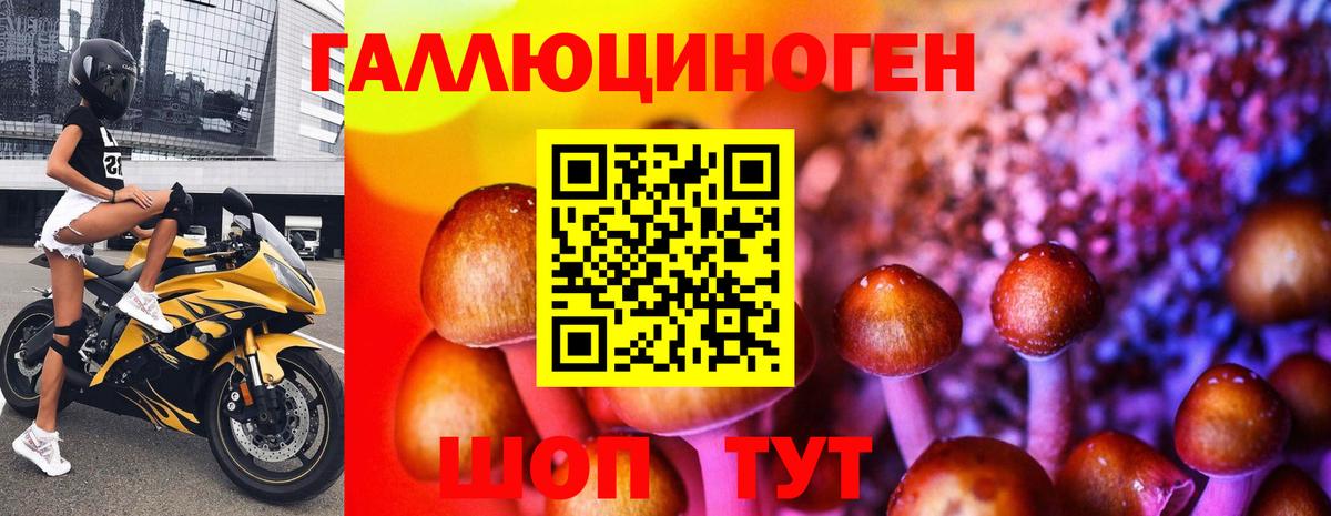 Галлюциногенные грибы Magic Shrooms Новоалександровск